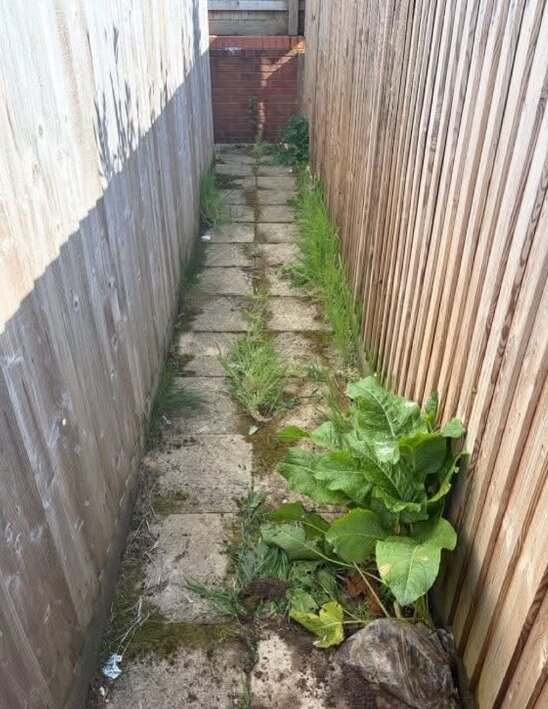 Path before pressure washing in Cardiff